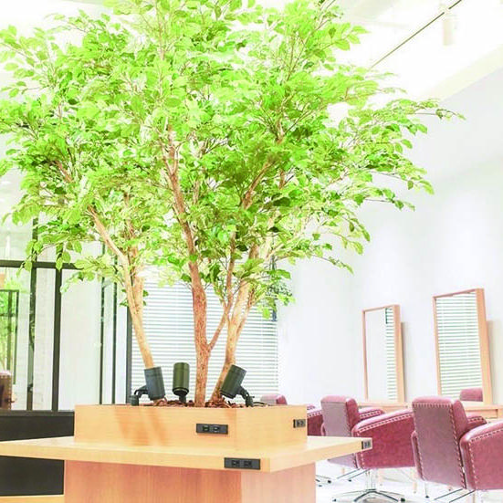 KAMISMA【カミスマ】 本田 治彦 SNAP-2