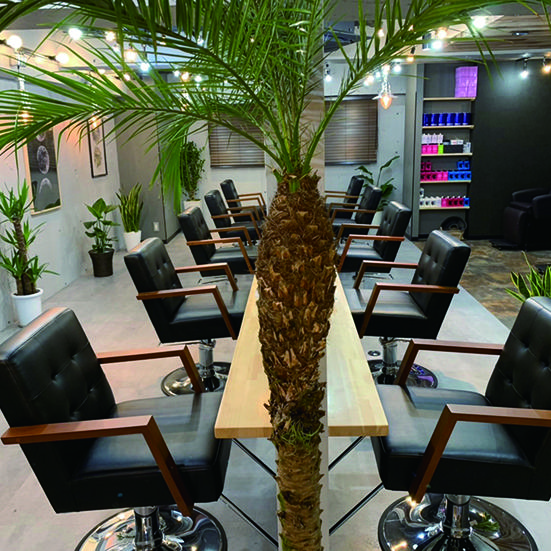 KAMISMA【カミスマ】 KUNI SNAP-2