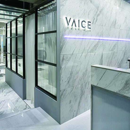 KAMISMA【カミスマ】 kanto VAICE