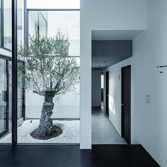 KAMISMA【カミスマ】 照屋 寛倖 SNAP-1