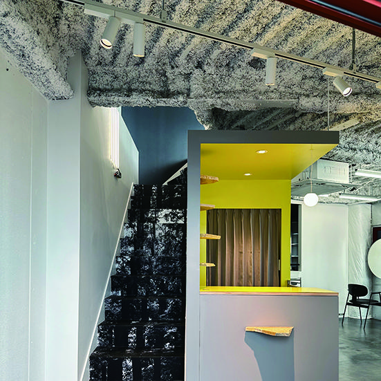 KAMISMA【カミスマ】 color nenen