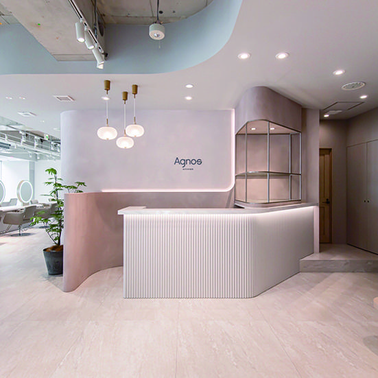 KAMISMA【カミスマ】 kanto Agnos 青山