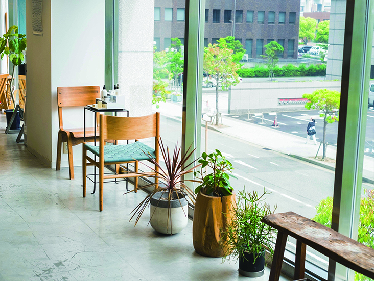 KAMISMA【カミスマ】:Dreap