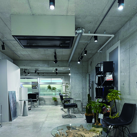 KAMISMA【カミスマ】:li