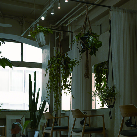 KAMISMA【カミスマ】 hokkaido TOE