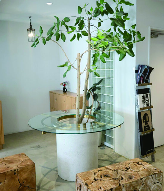 KAMISMA【カミスマ】 kinki lety