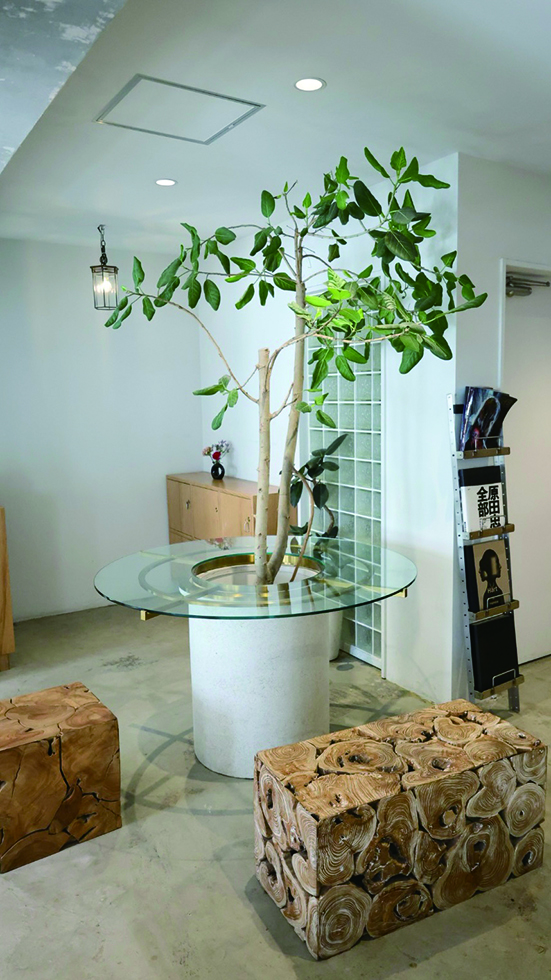 KAMISMA【カミスマ】:lety