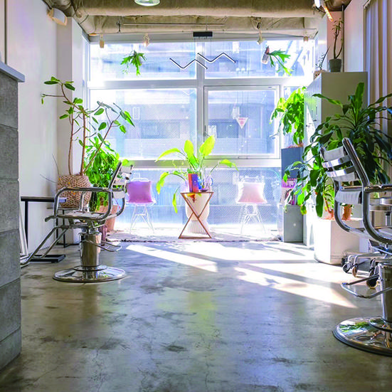 KAMISMA【カミスマ】 kyushu-okinawa ness