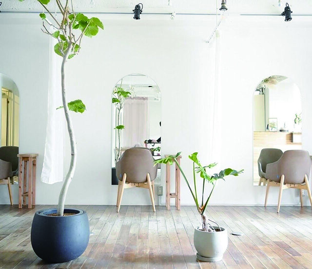 KAMISMA【カミスマ】 kinki siro